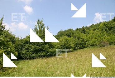 background nature summer