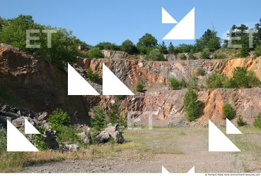 Various Walls Stones Cliffs Overgrown Rock