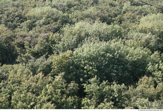 Background Forests