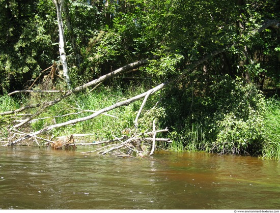 Background Forests