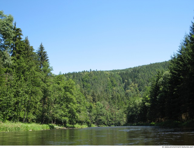 Background Forests