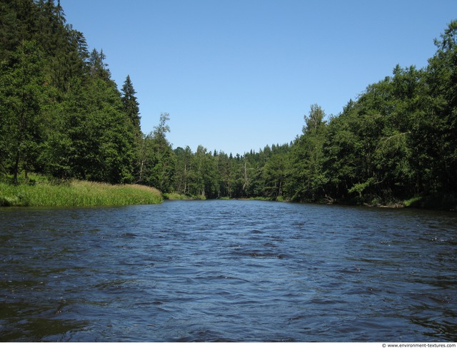 Background Forests