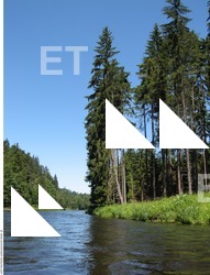 Photo Reference of Background Forest