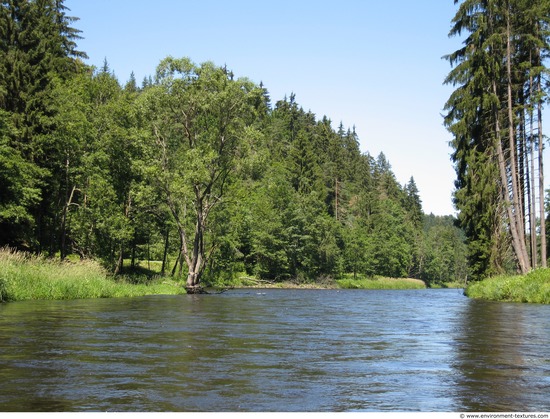 Background Forests