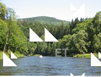 Photo Reference of Background Forest