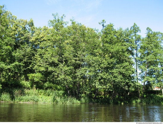 Background Forests