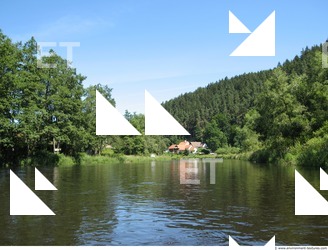 Photo Reference of Background Forest