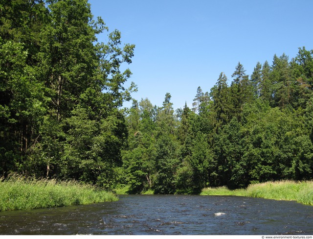 Background Forests