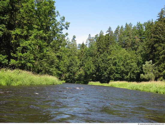 Background Forests