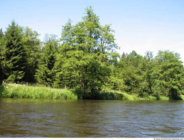 Background Forests