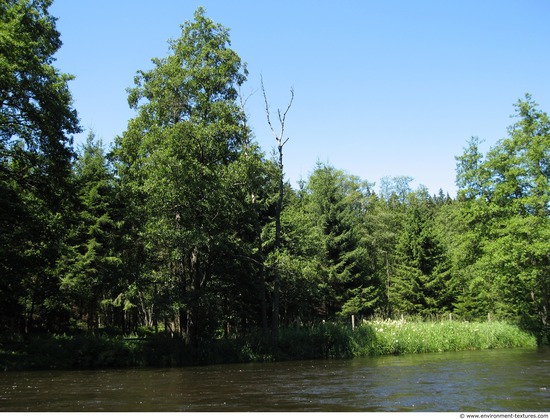 Background Forests