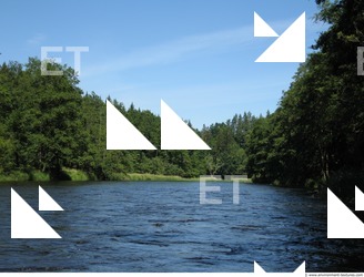 Photo Reference of Background Forest