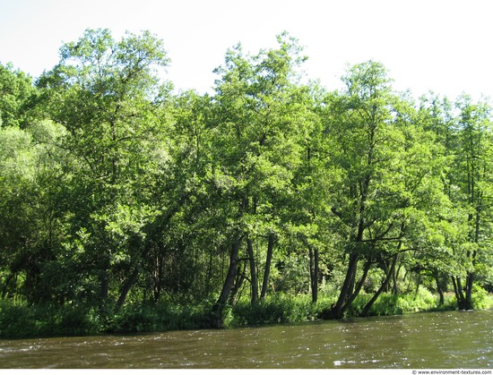 Background Forests