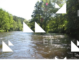 Photo Reference of Background Forest