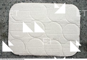Damaged Cardboard