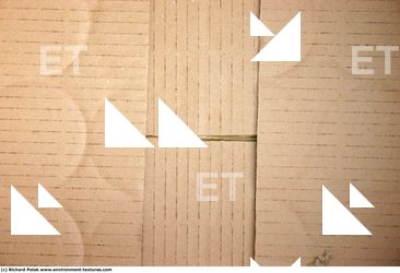 Damaged Cardboard