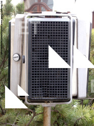 Electric Objects Various