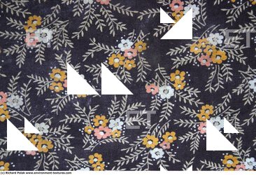 Patterned Fabric