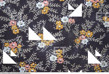 Patterned Fabric