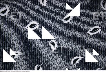 Patterned Fabric