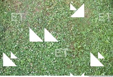 Grass Electronic Black