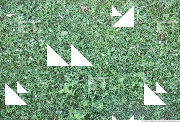 Grass Electronic Black