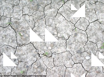 Cracked Soil