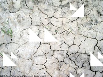 Cracked Soil