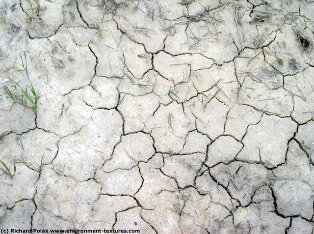 Cracked Soil