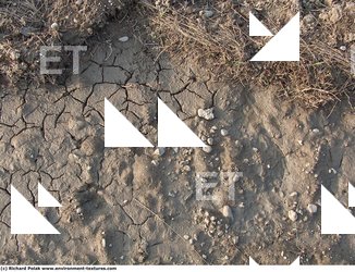 Cracked Soil