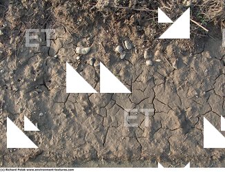 Cracked Soil