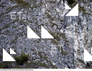 Cliffs Overgrown Rock