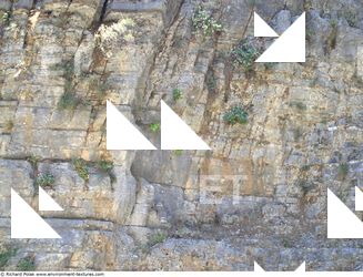 Cliffs Overgrown Rock