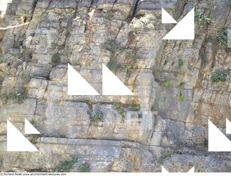 Cliffs Overgrown Rock