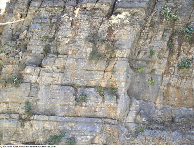 Cliffs Overgrown Rock