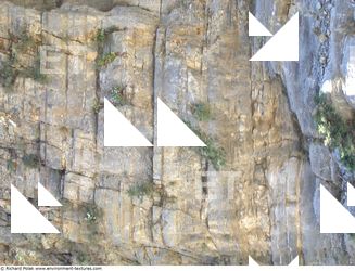 Cliffs Overgrown Rock