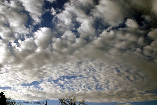 Blue Clouded Skies