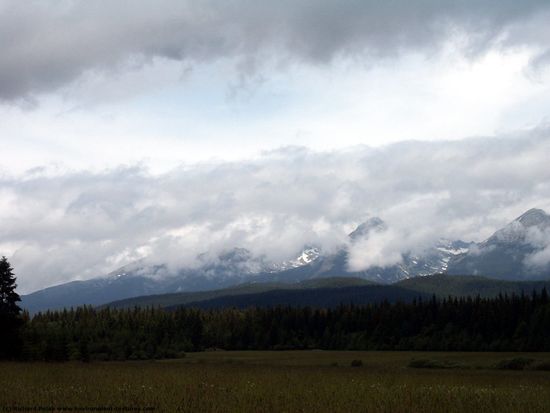 Blue Clouded Skies