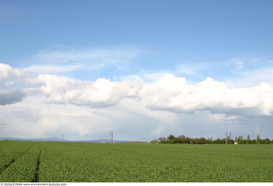 Blue Clouded Skies