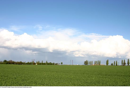 Blue Clouded Skies