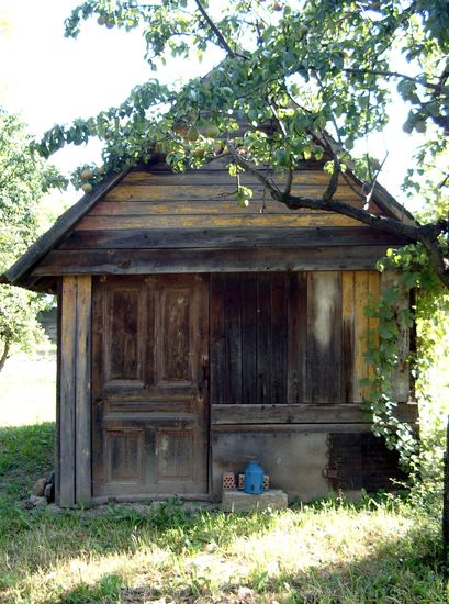 Shed