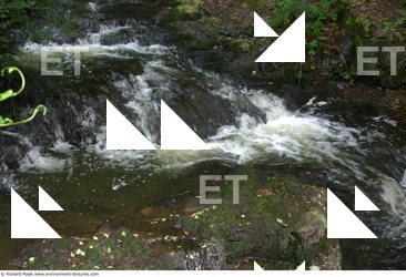 Streams Water