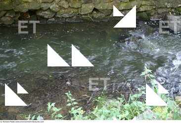 Streams Water
