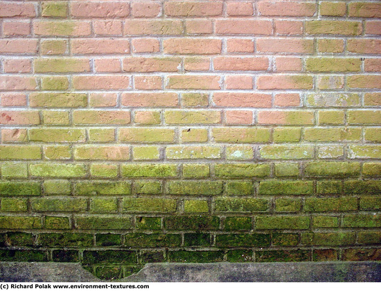 Wall Bricks Damaged