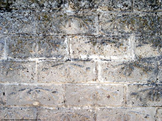 Wall Bricks Damaged