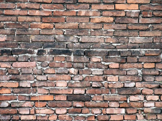 Wall Bricks Damaged