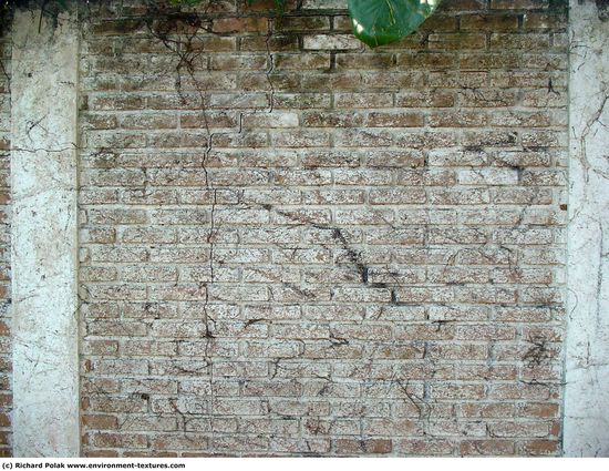 Wall Bricks Damaged