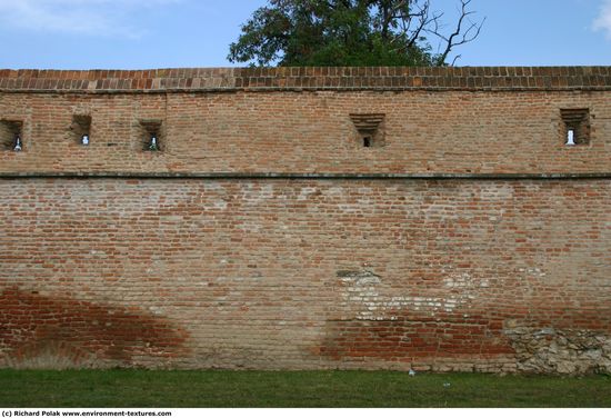 Wall Bricks Damaged