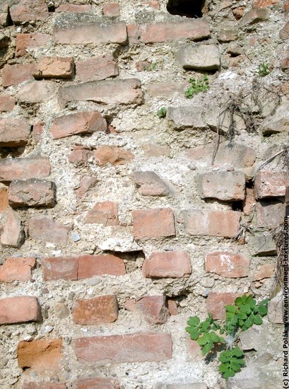 Wall Bricks Damaged