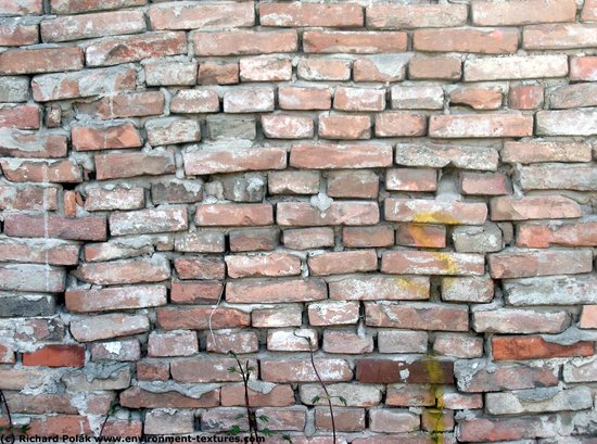 Wall Bricks Damaged